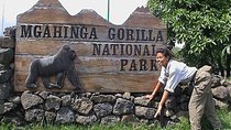  6-Day Uganda & Rwanda Combo: Gorillas, Golden Monkeys Safaris