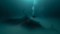 Diving in Angelita and Casa Cenotes from Riviera Maya