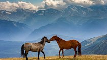 Trekking tour from Tusheti to Kazbegi with only two overnight stays in tents.