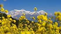 4 Days Trek:Panchase,Bhandure and Sarangkot From Pokhara