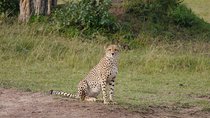 Aberdare National Park Day Tour 