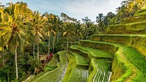 Private Ubud Day Tour
