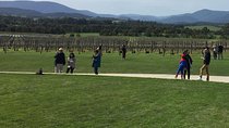 Private Yarra Valley Wine Tour