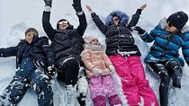Borjomi/Bakuriani Private Full Day Tour from Tbilisi