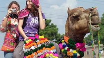 INDIA TOUR (11 Nights /12 Days)