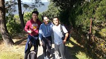 Shivapuri National Park Day Hike with Local Guide