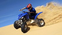 Evening Desert Safari with, Dune Bashing, Camel Ride, sand board