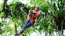 Tarzan Swing Adventure