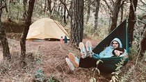 Camping Sierra Gorda