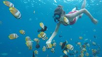 5D/4N (Hostel) Backpacker Lombok Tour Package