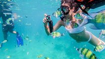 All-in Phi Phi, Maiton, MayaBay, Khai, Bamboo islands Tour 