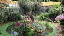 LOIRE VALLEY : Int'l Garden Festival at CHAUMONT + the king castle of CHAMBORD
