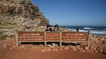 Private Tour: Cape Of Good Hope & Wine Tasting