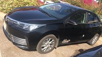 Private Transfer from Cairo Airport