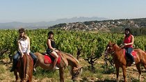 Horseback Ride, Penedes, Wine Tasting & Tapas Private Tour 