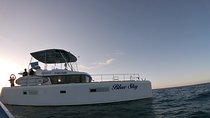Catamaran Cruise with Snorkeling and lunch on board!