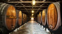 Private Lisbon wine tasting tour in the Setubal region