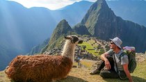 2 Days Direct Train to Machu Picchu via Ollantaytambo 