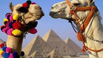 King Tut Egypt : 6 Days Cairo and Luxor Guided Tours & Overnight Train 