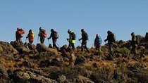 5 Days Mount Kilimanjaro Climb - Marangu Route