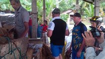 Negombo Countryside Cycling Tour (Toddy Hunt Ride)