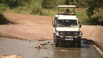 6 Days Tanzania; Lake Manyara,Eyasi,Serengeti,Ngorongoro and Tarangire