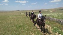 Horseback Riding in a special agafay desert 