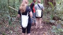 Combine of Tamblingan Waterfall and Twin Lake Tour