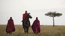 Black Panther Photography Safari