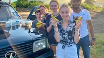 Udawalawe national park private tours