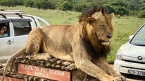  Nairobi National Park & Giraffe Centre