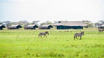  3 Days Serengeti and Ngorongoro Crater Group Tour