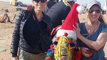 3 days pyramids,Cairo ,fayuon oasis from 60$