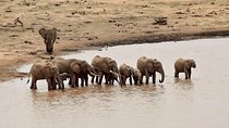 Amboseli Day Excursion