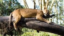5 Days 4 Nights safari Mikumi national park & Selous game reserve