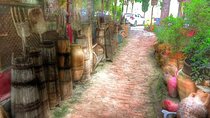 Izmir Port to Ephesus, Terrace Houses, Temple of Artemis