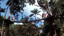 Zip Line over the Dunns River Falls 