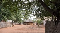 Cultural tour