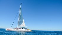 Punta Cana : Saona Island Day Tour 
