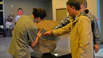 San Jose Walking City Tour -Private-