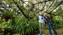 Full-Day Kinabalu Park and Poring Hot Spring Day Trip