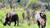 2 Days Safari Tour