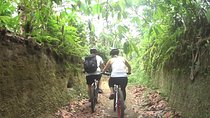 Mountain Biking and Waterfall Tour from Lombok