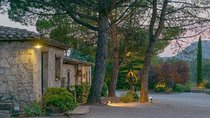 Half Day Private Wine & Oil Tasting Tour near Barcelona with hotel pick up