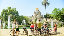 eBike Small Group Tour & Wine Tasting to Alella D.O. winery 