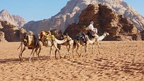 Petra and Wadi Rum Day Trip from Amman
