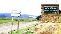Excursion to Taza with Jebel Tazzeka