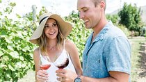 Lake Country Tour - Classic - 6 Wineries