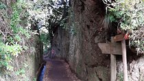 Madeira: Private 1.5-Kilometer Levada dos Balcões Hike PR11