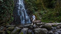 3 Days in Kutaisi, Batumi and Everything between from Tbilisi